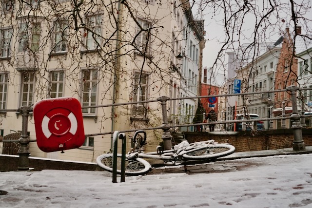 Photograph 17 by Frans Leys